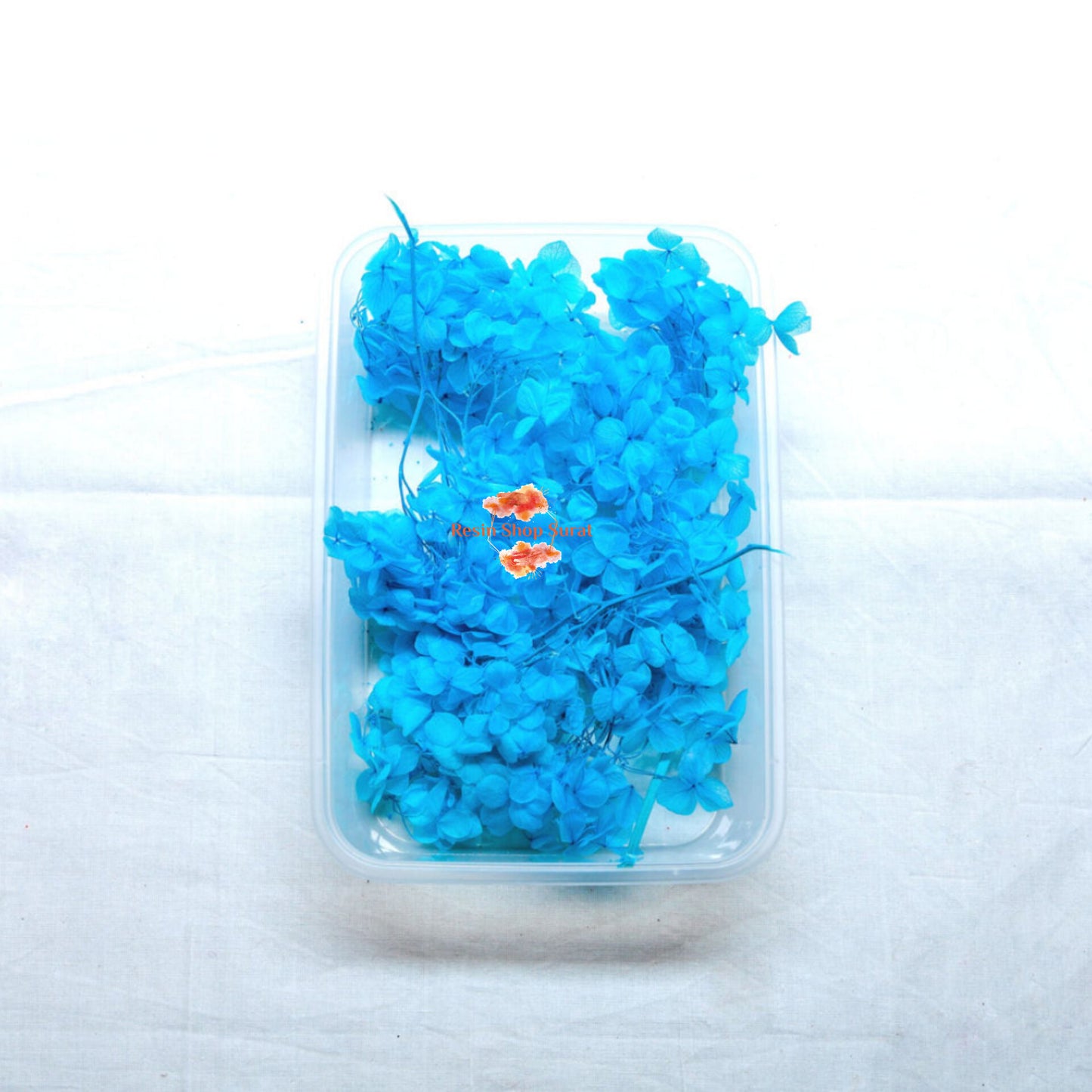 HYDRANGEA DRY FLOWER