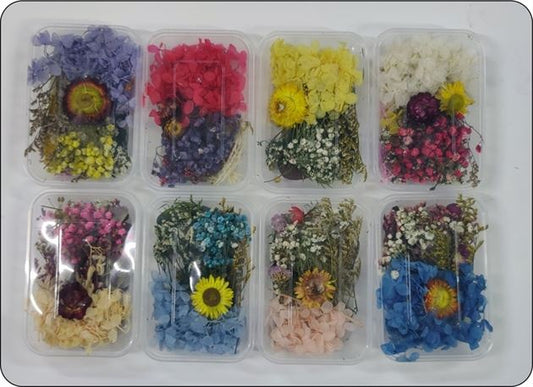 Dry Flower Box |Random colour and Random flowers 1 box