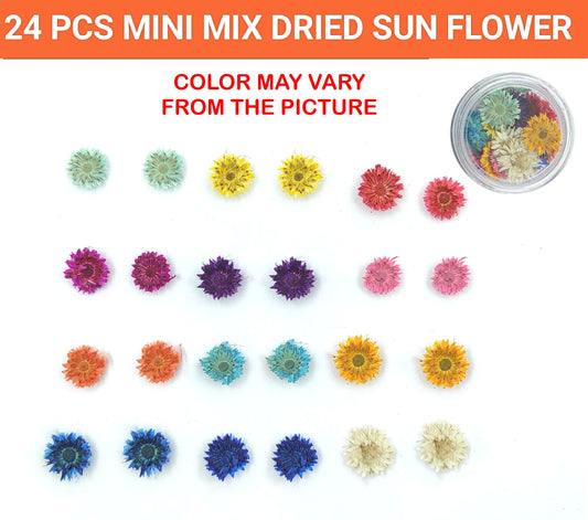 Mini mix dried Sun flower