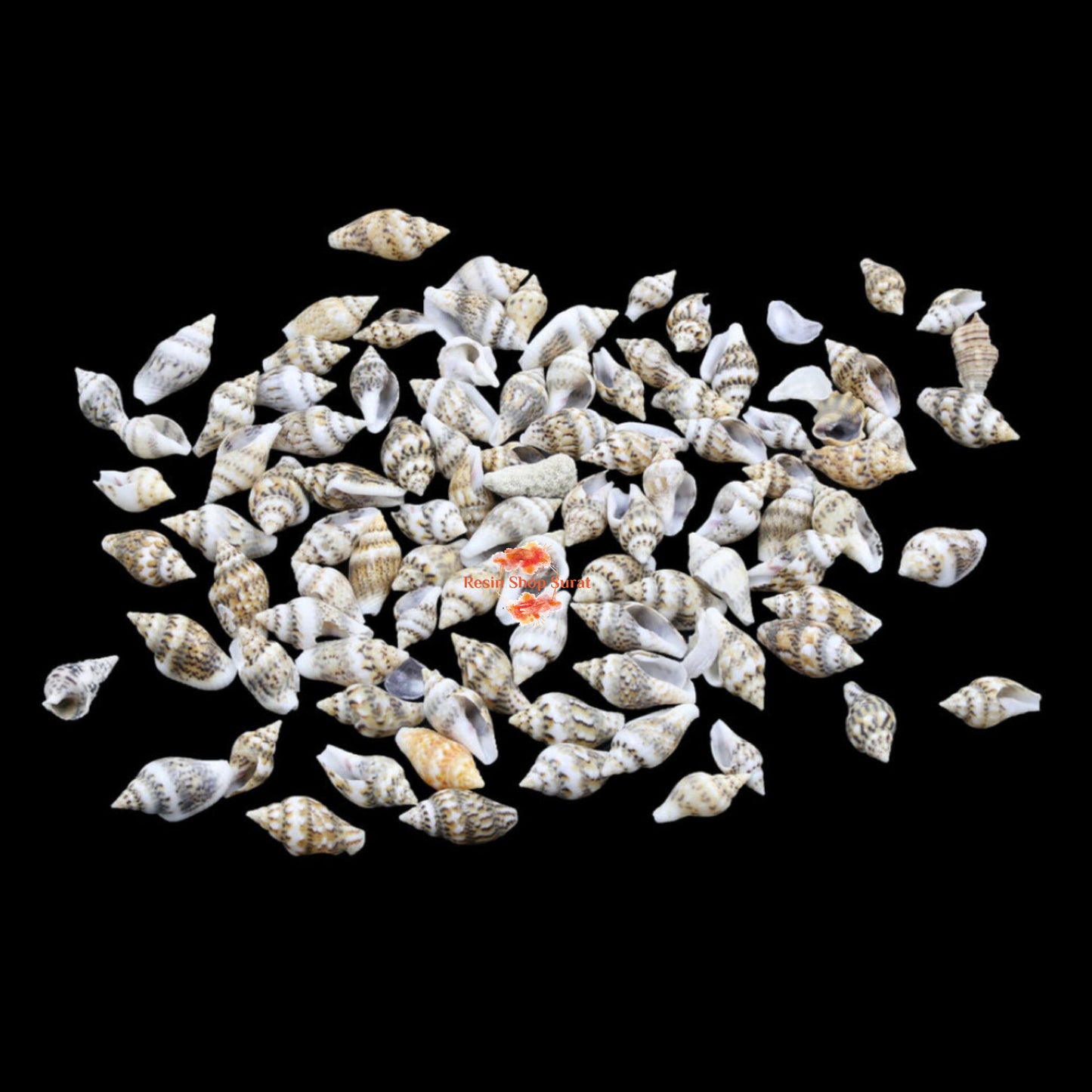 Natural Shell 001 (50Gms)